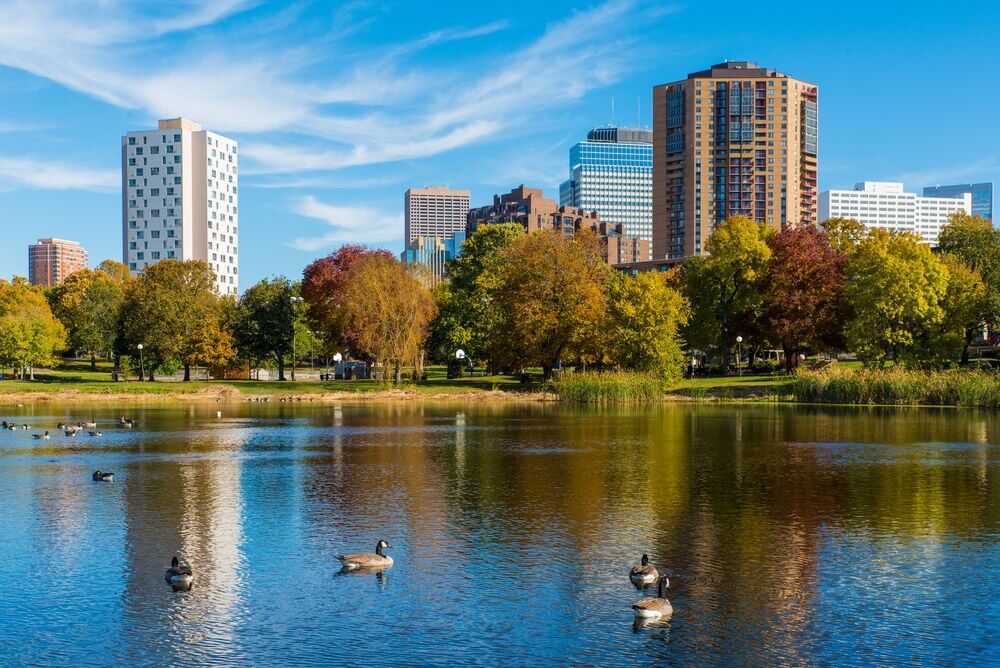4. Minnesota